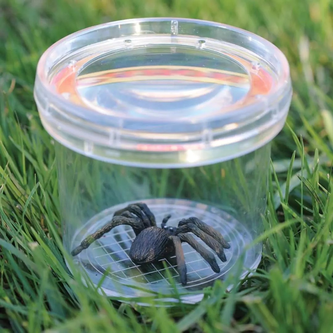 Age 3+ Educational Insights GeoSafari Jr. Bug Viewer