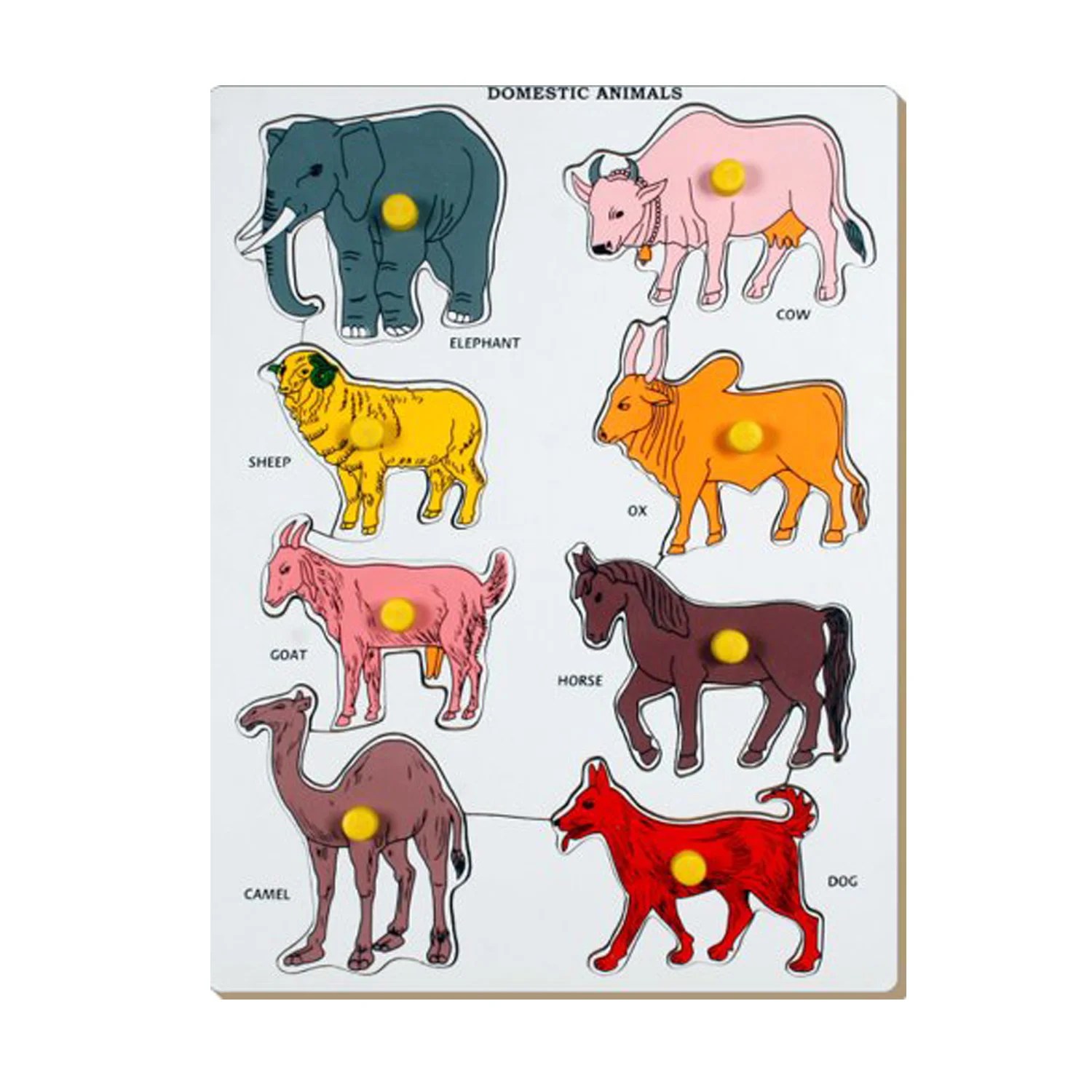 Little Genius Domestic Animal (Multicolor)