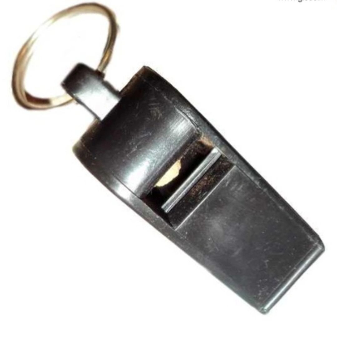 Age 3+ Gisco Whistle Plastic Large Multicolor