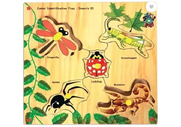Junior Identification Tray Insects