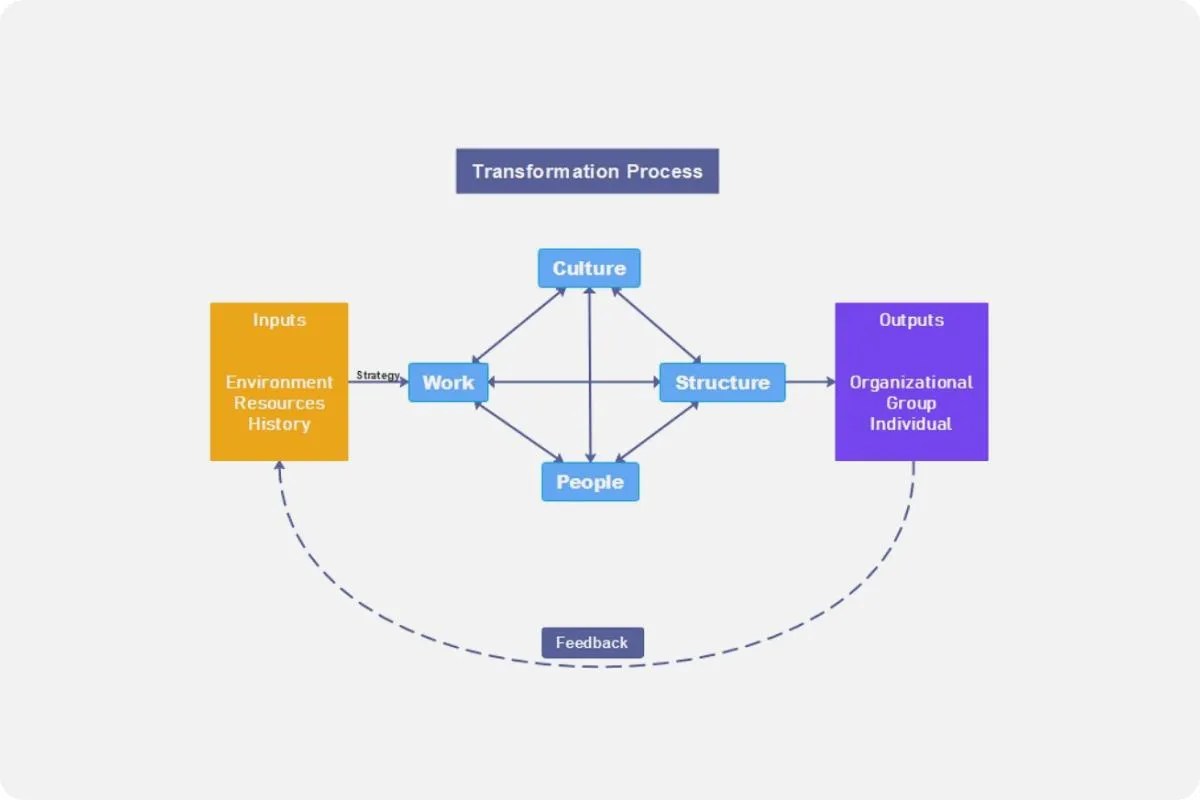 Nadler Tushman Congruence Model