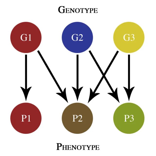 Several Psychiatric Disorders Share The Same Common Genetic Basis