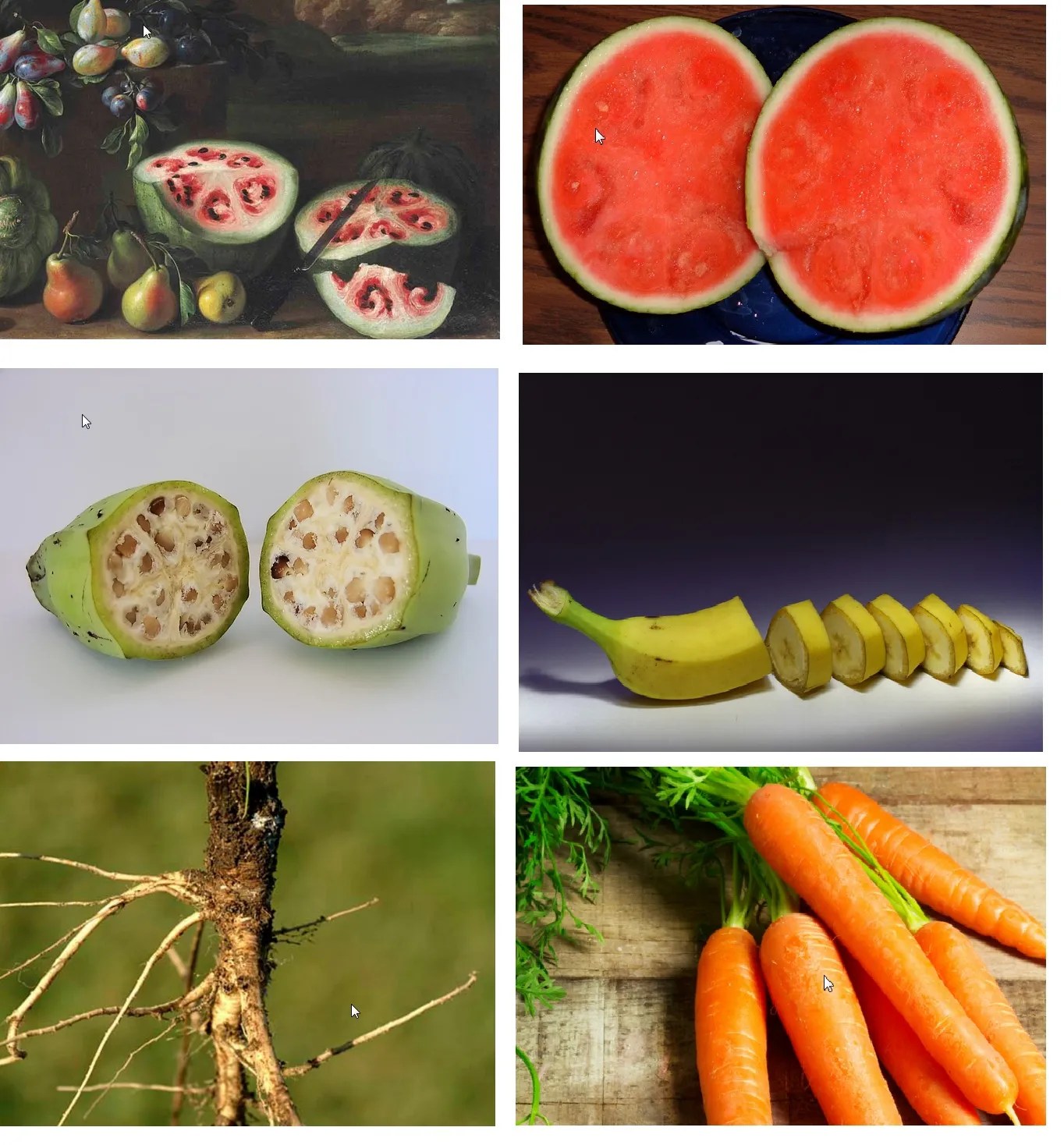 Here’s What Fruits And Vegetables Looked Like Before We Domesticated Them