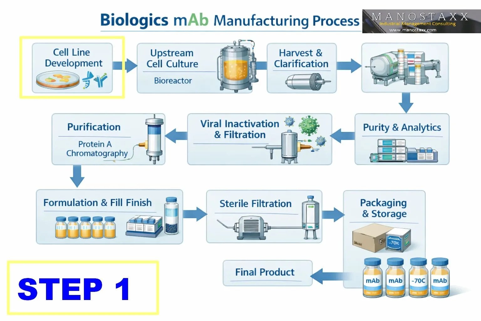 mAB production: Step 1 – The Origin of Every Batch: Cell Line Development and Cell Banking for mAbs