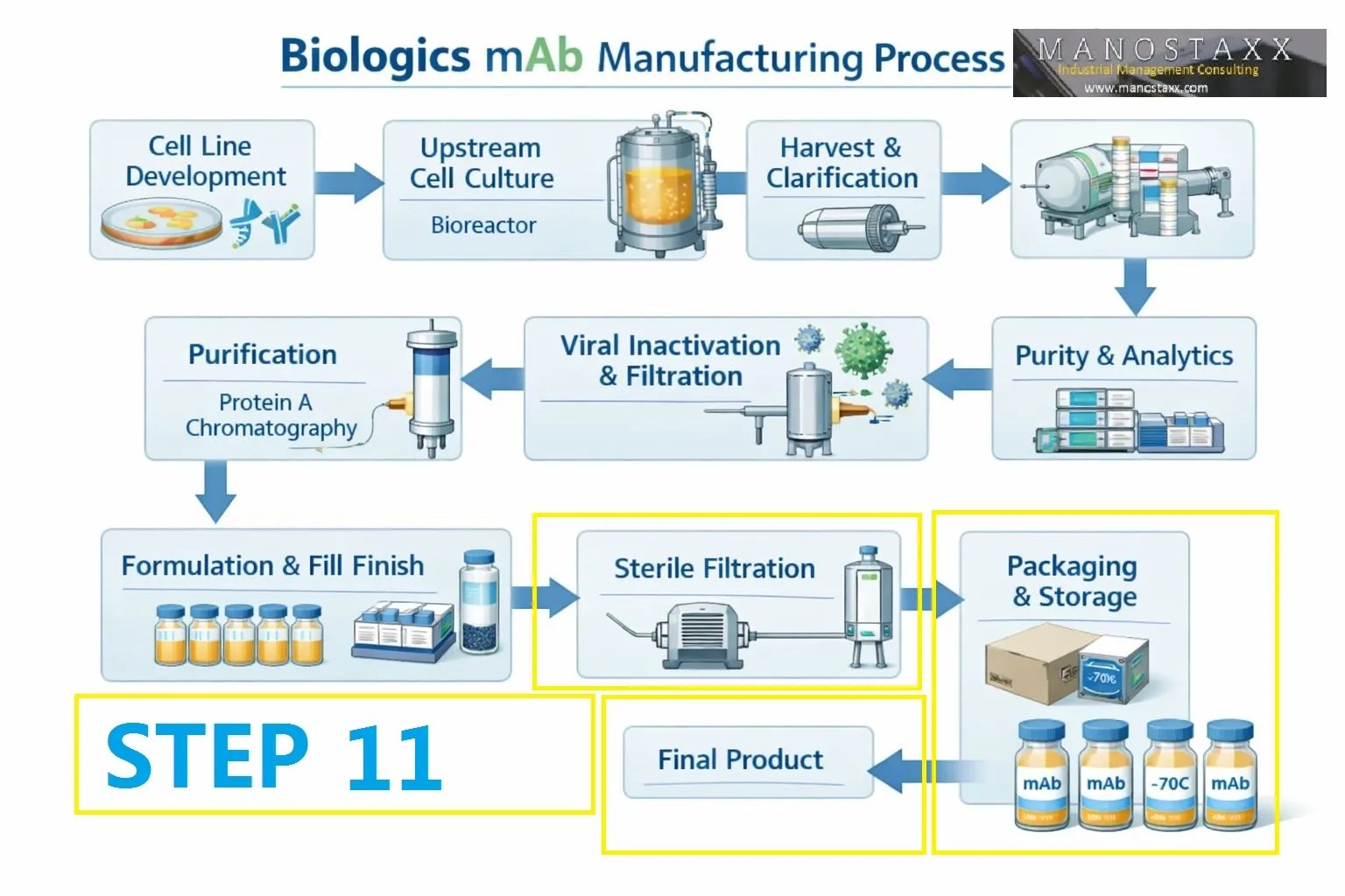 mAB production: Step 11 – Sterile Filling and Finishing: From Bulk Drug Substance to Patient‑Ready Vial