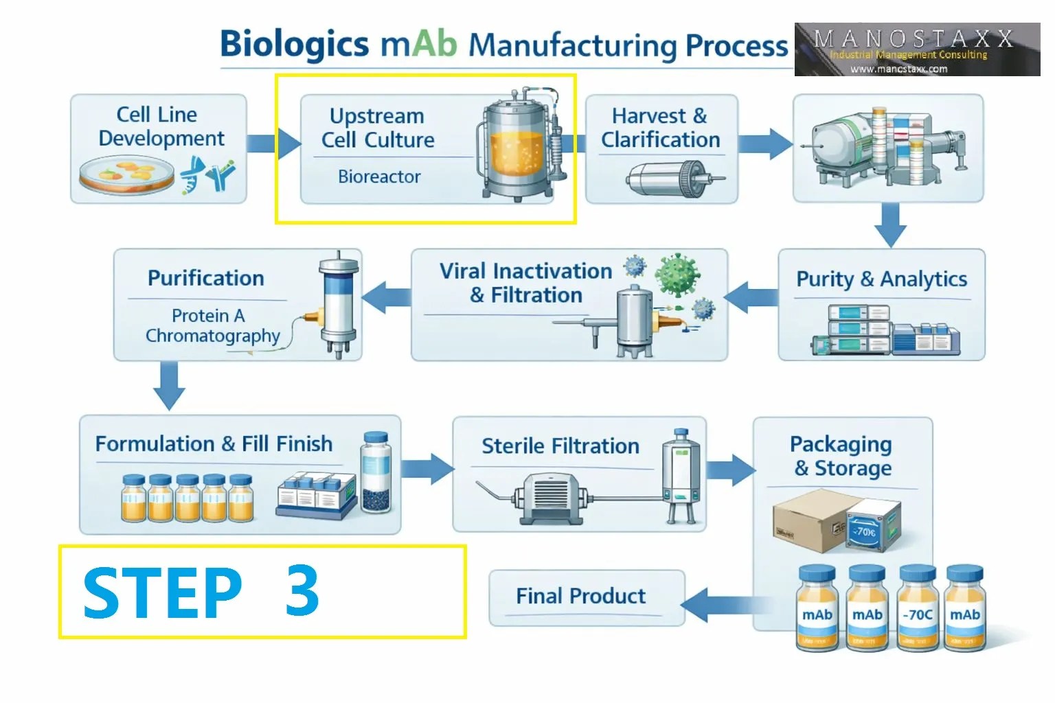 mAB production:  Step 3 – Production Bioreactor (Fed-Batch Culture): The Heart of Upstream Manufacturing