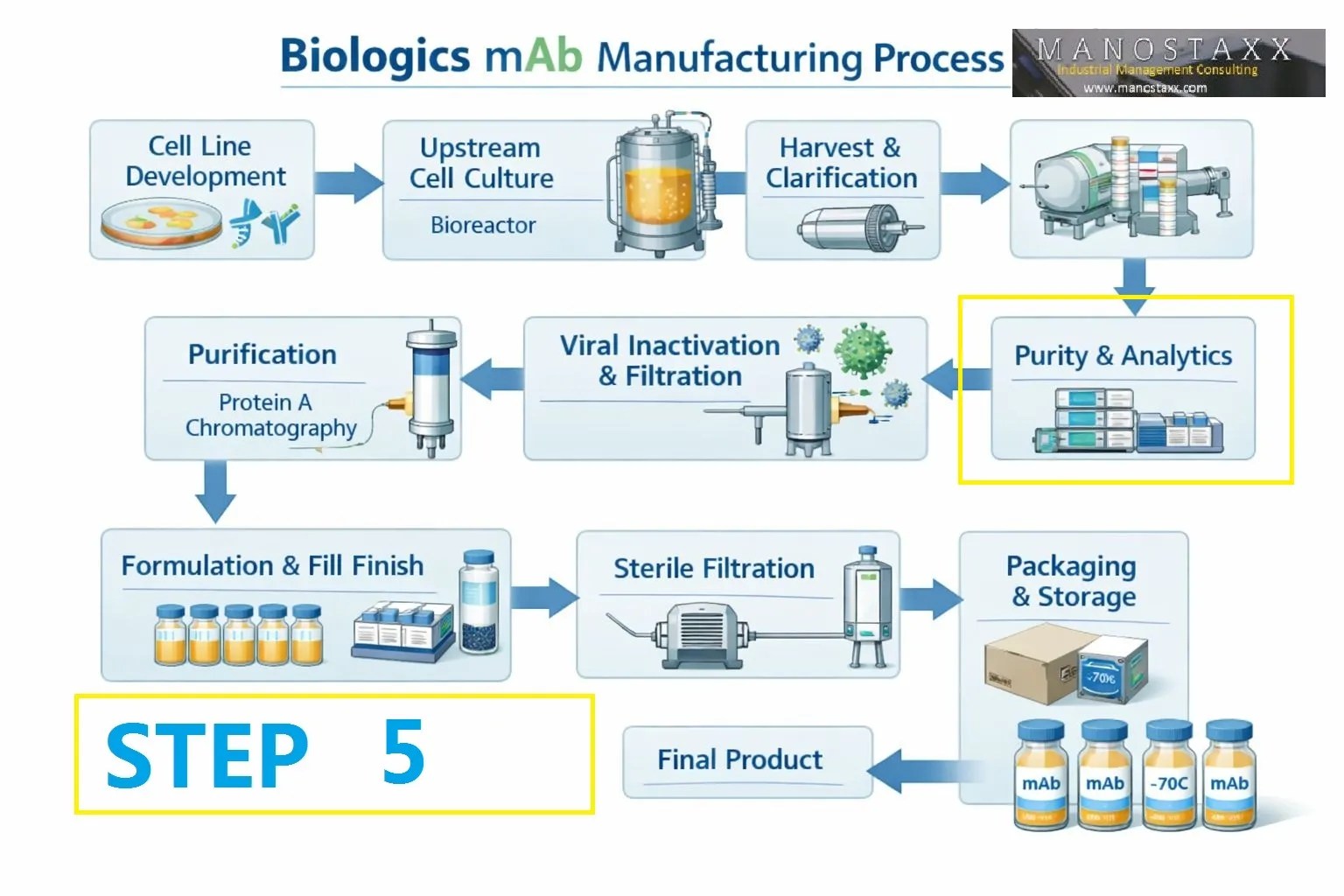 mAB production: Step 5 – Protein A Affinity Capture: The Elegant Workhorse of mAb Purification