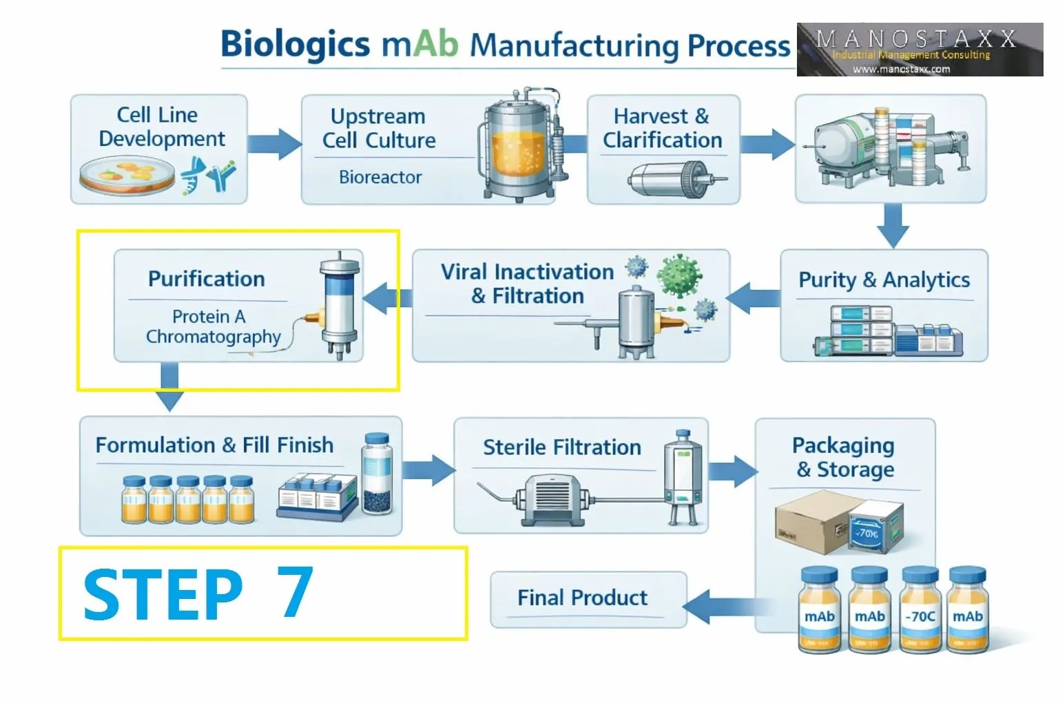mAB production:  Step 7 – Cation Exchange Chromatography: The First Polishing Step