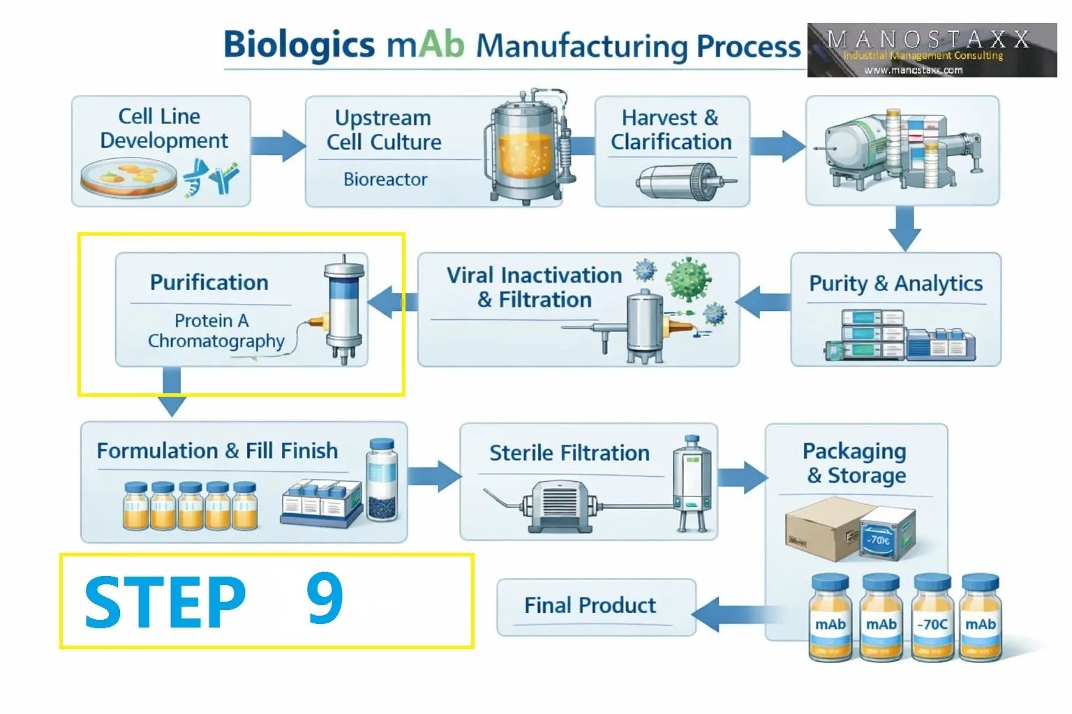 mAB production: Step 9 – Viral Filtration (Nanofiltration): The Physical Barrier for Virus Safety