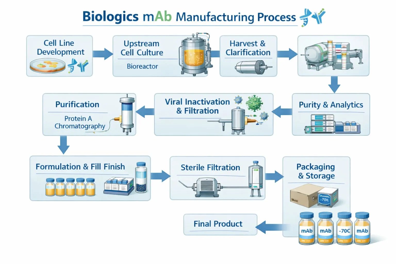 mAB production:: Series Wrap‑Up – The Complete Manufacturing Journey of a Monoclonal Antibody