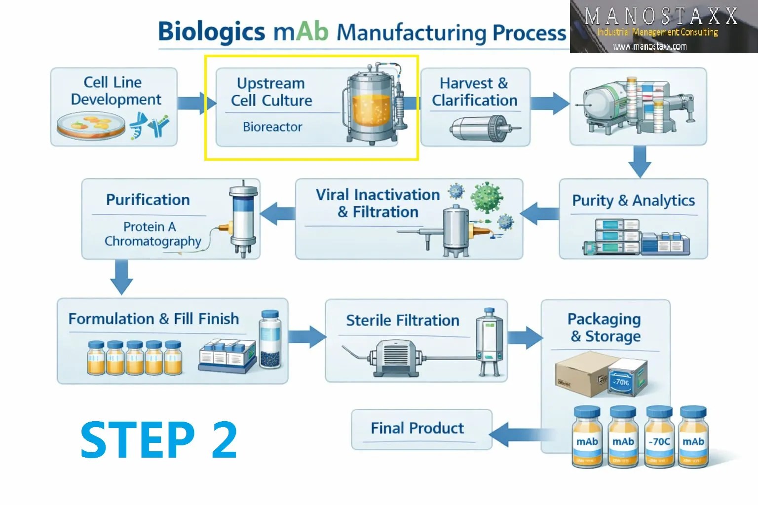 mAB production: Step 2 – Inoculum Expansion (Scale-Up): From a Frozen Vial to Billions of Cells