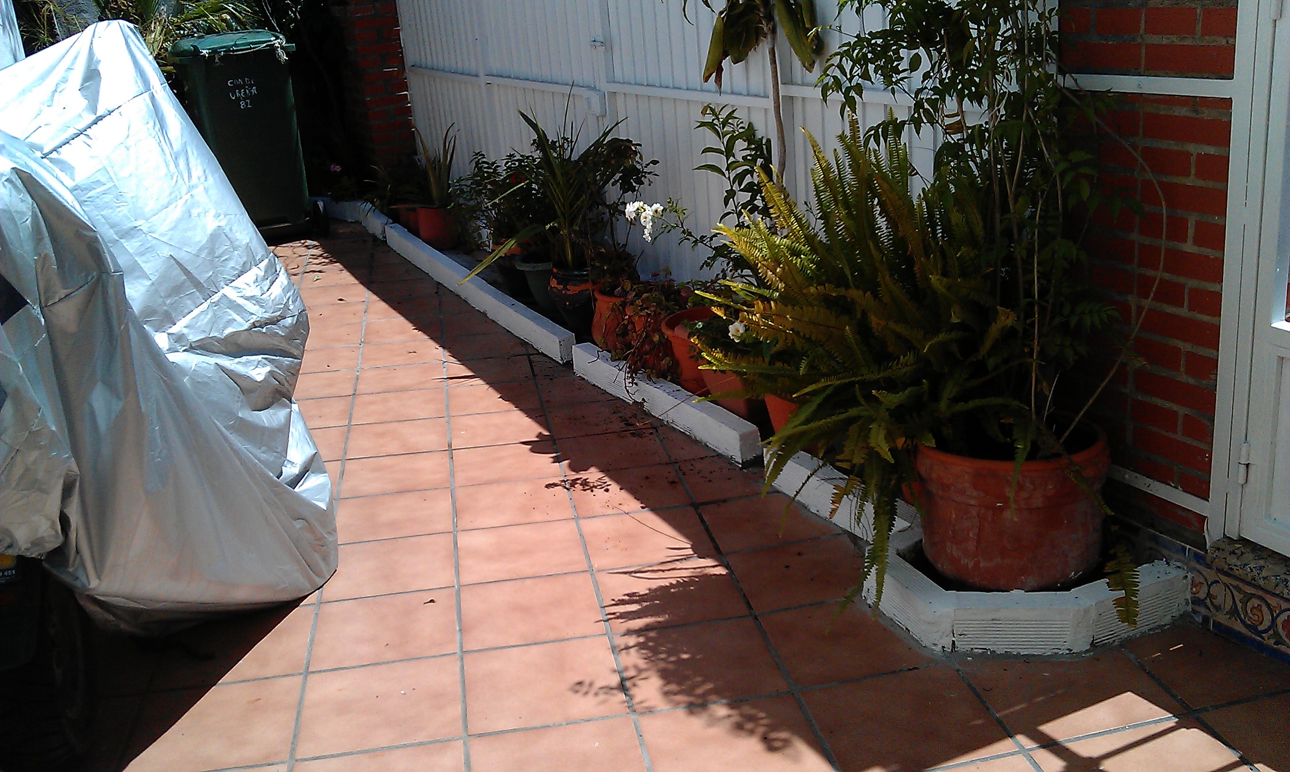 Arriate de ladrillos, pintura en blanco y colocación de plantas