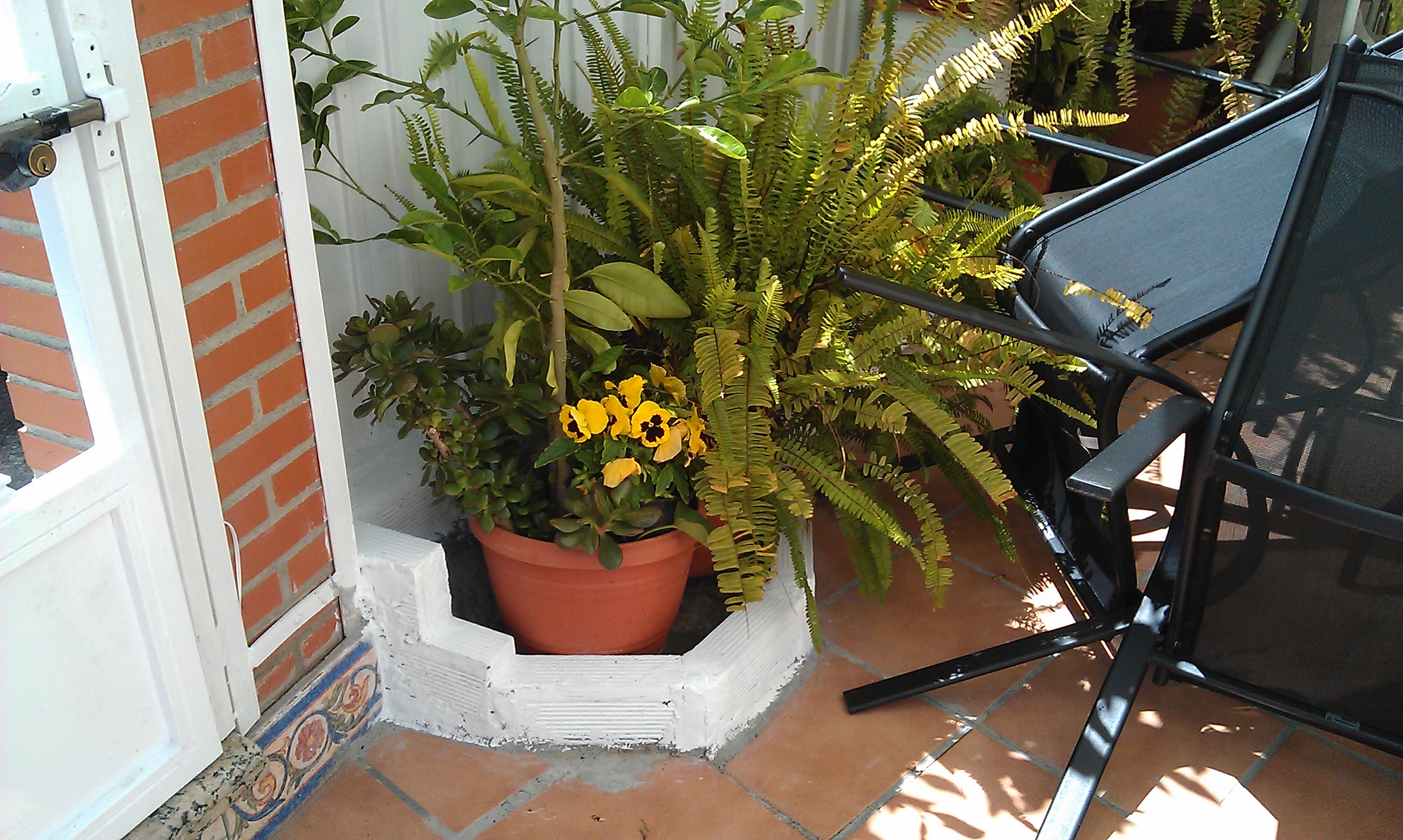 Arriate de ladrillos, pintura en blanco y colocación de plantas