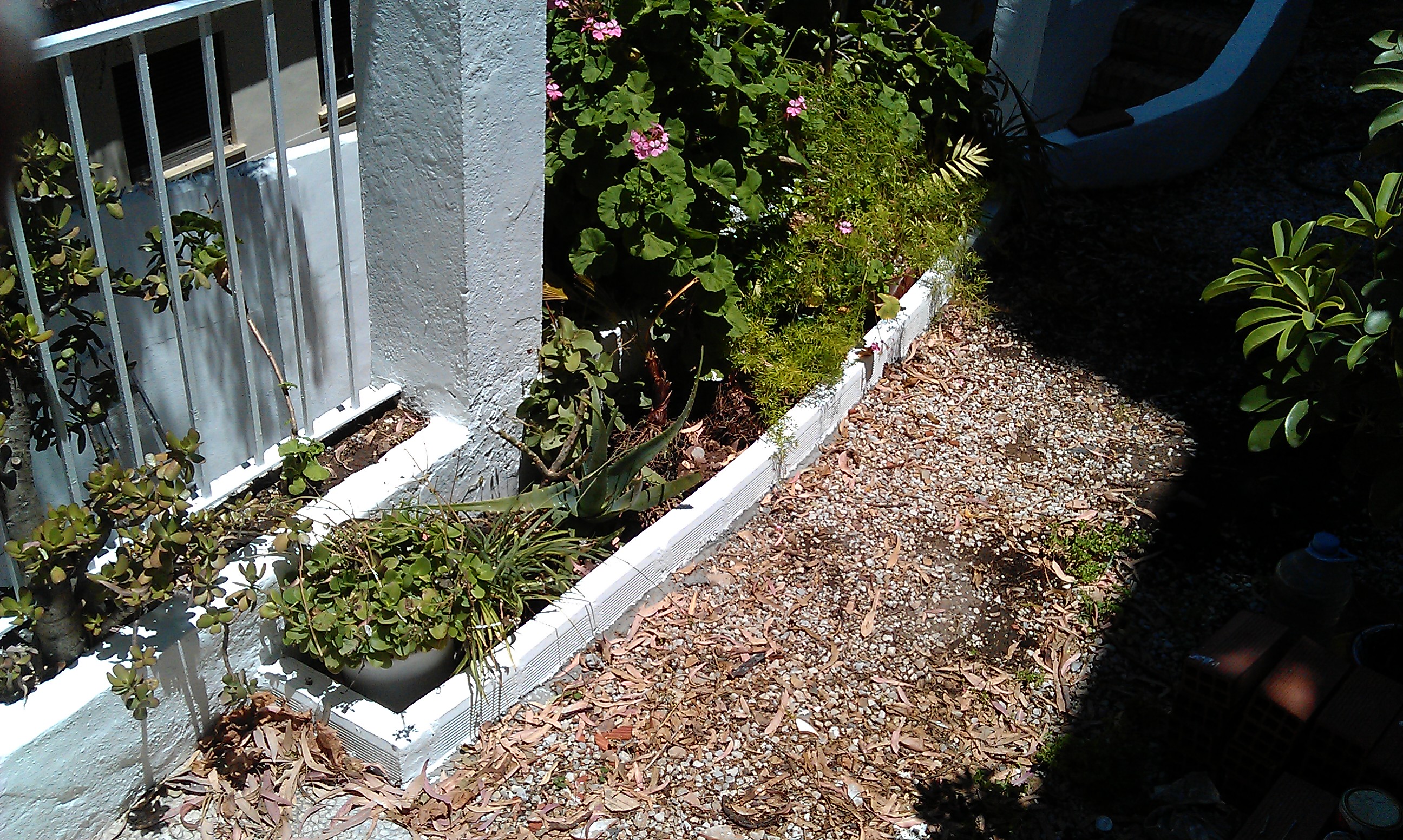 Limpieza de jardín, reparación de macetas y columnas, arriates de ladrillos, pintura (todo en blanco)