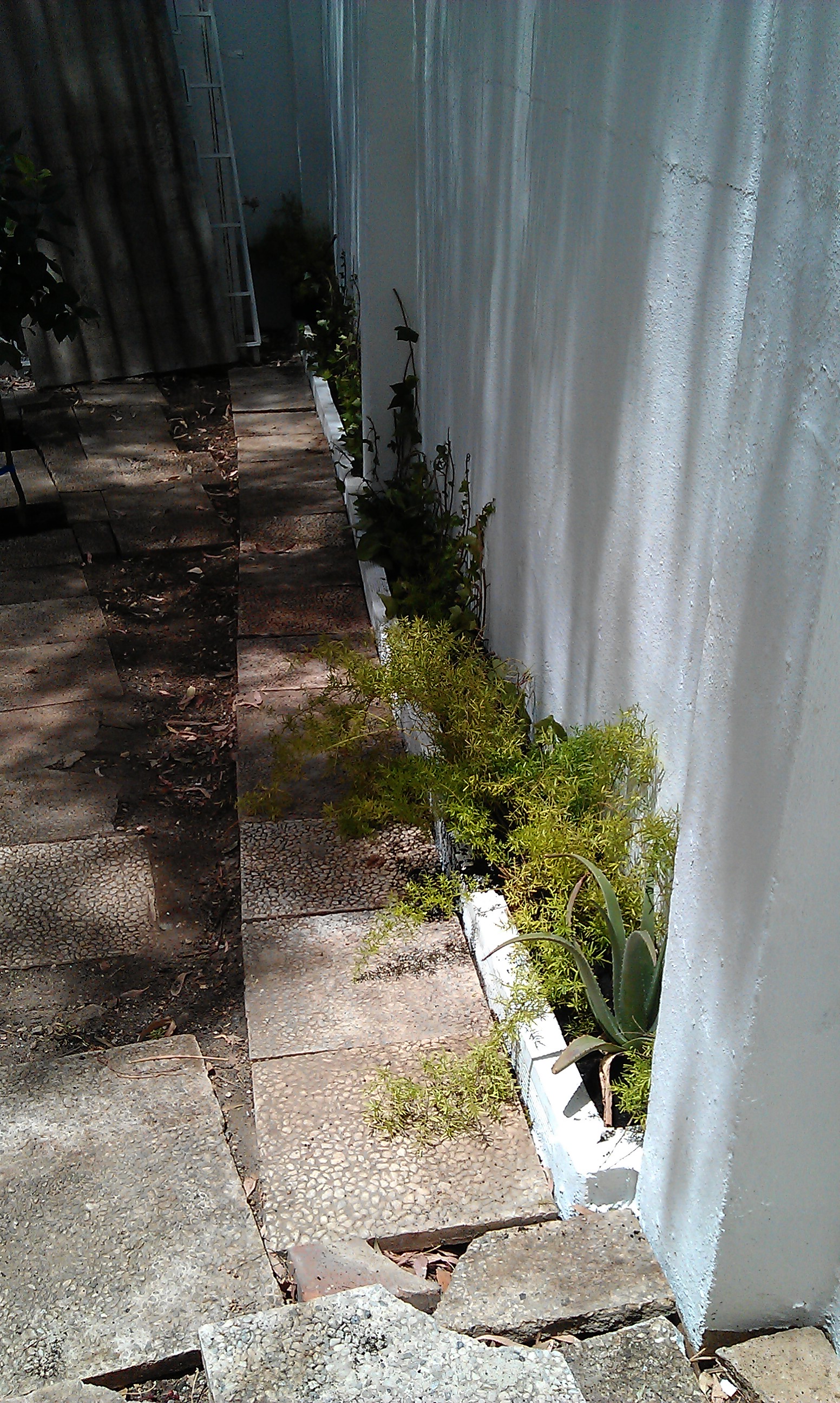 Limpieza, arriate de ladrillos, pintura, colocación de plantas