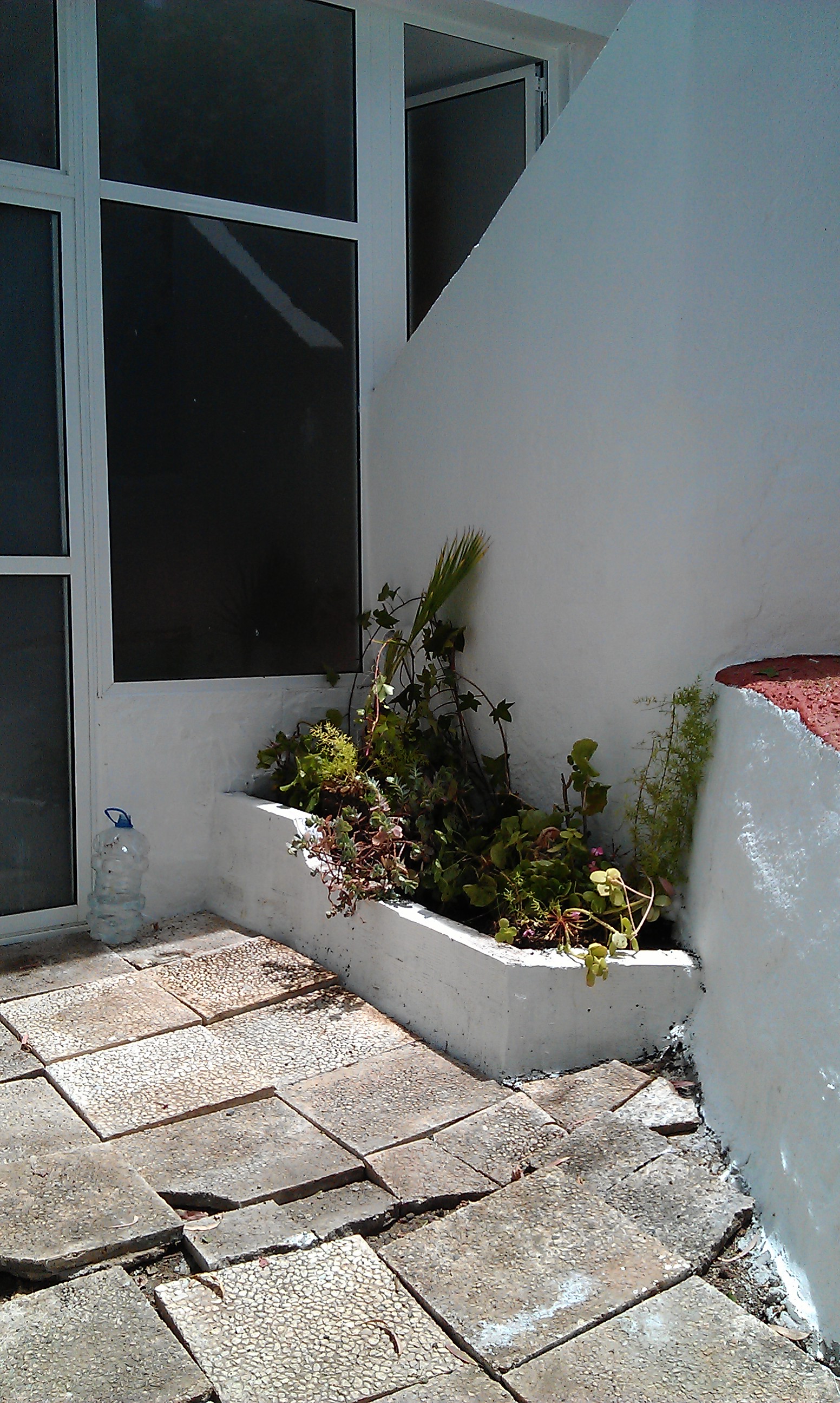 Limpieza, arriate de ladrillos, pintura en blanco y rojo, colocación de plantas