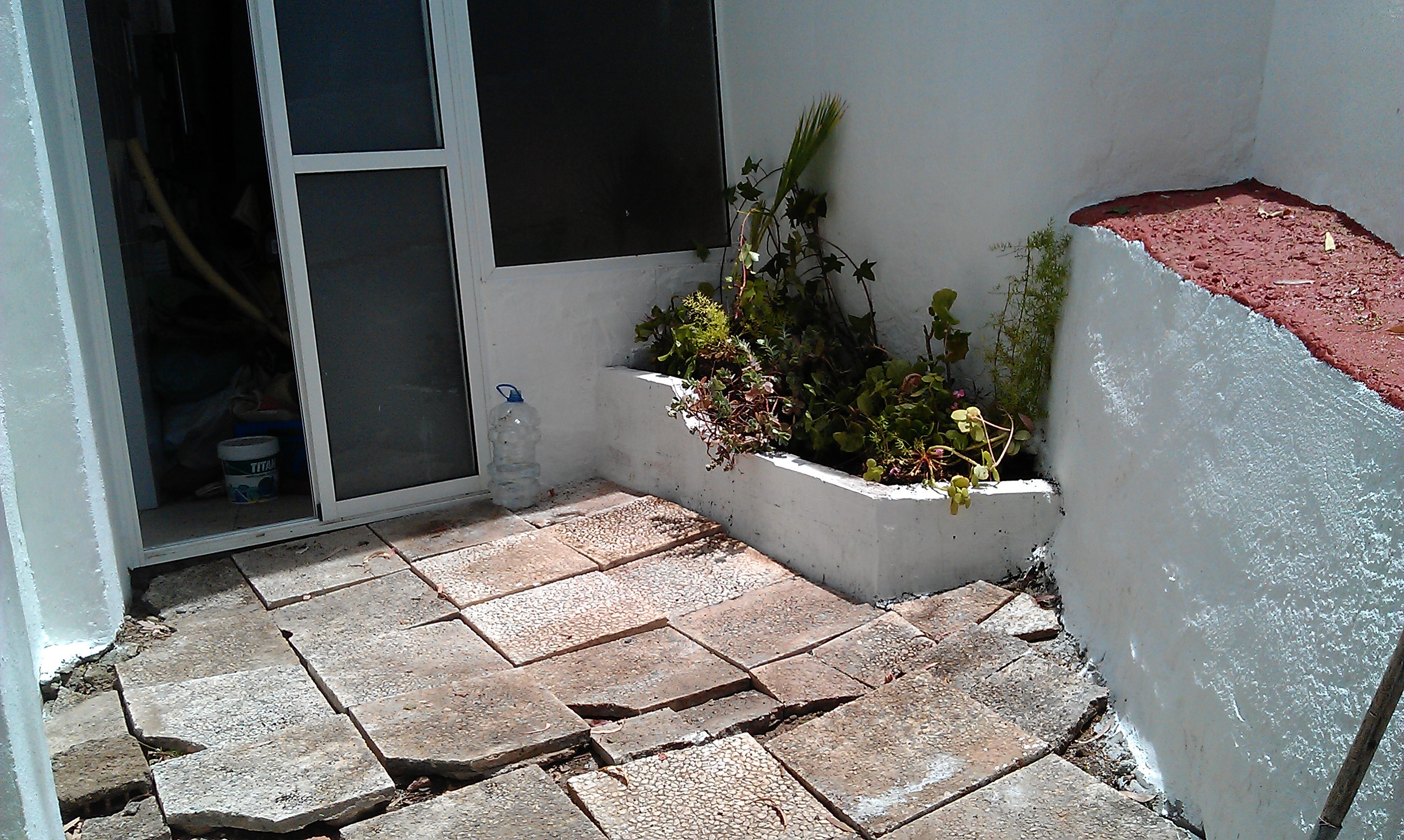 Limpieza, arriate de ladrillos, pintura en blanco y rojo. plantas