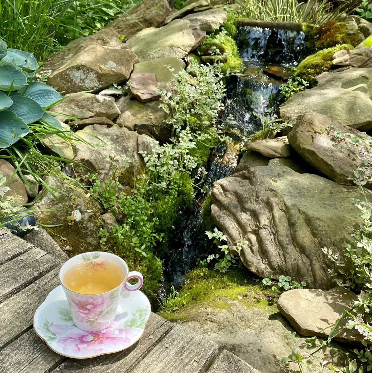 The Traveling Teacup Samples 7 Delightful Teas in 4 Beautiful Days