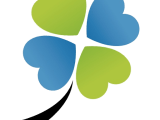 Clover Ms Data Analysis Manual