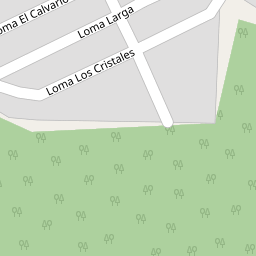 Colonia Fomerrey Lomas De Aztlan 66073 Ciudad General