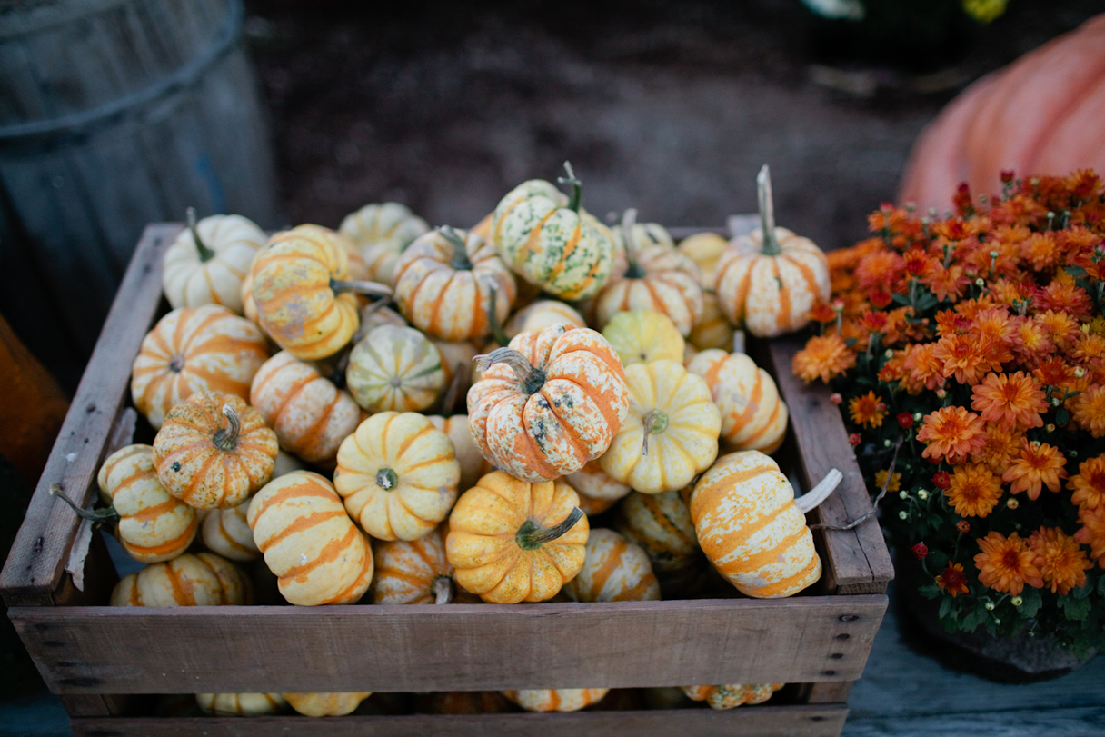 The Well at Jordan's Farm Cape Elizabeth, Maine Map & Menu