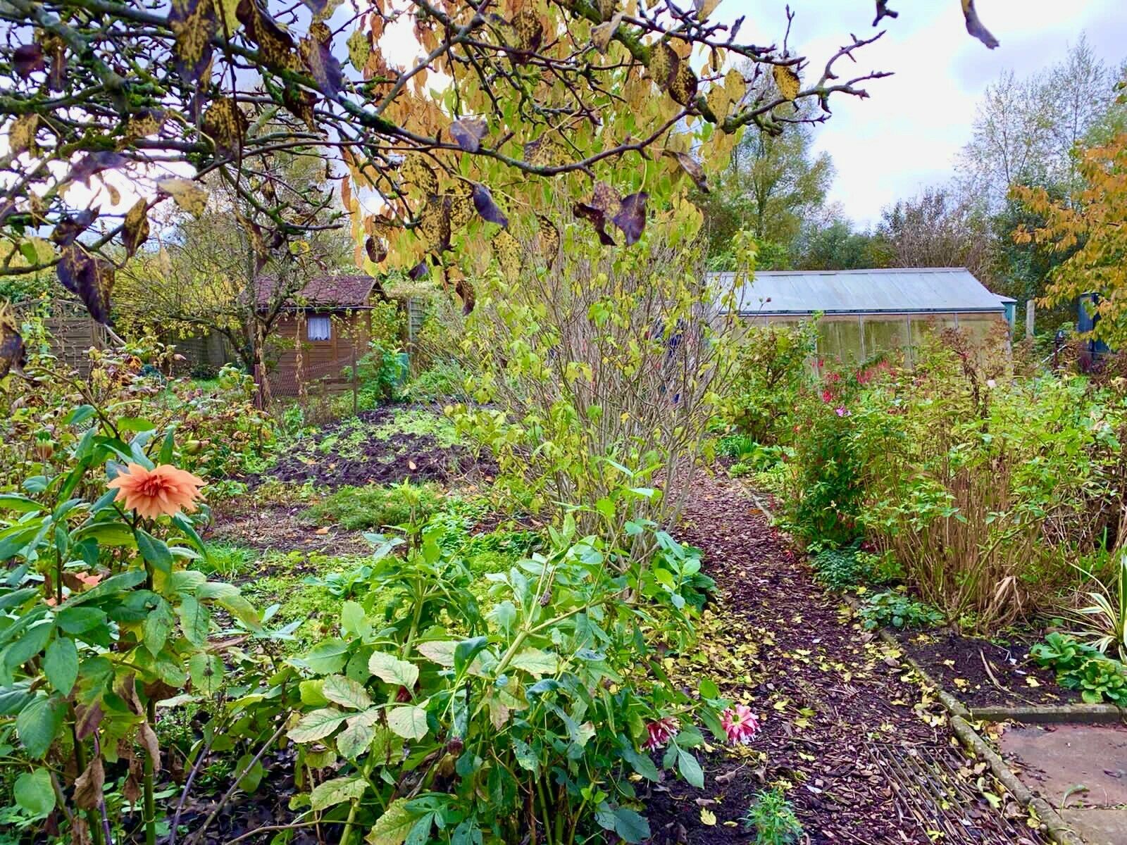 Kreisverband Der Gartenfreunde E V Rostock Land Rostock Angebote