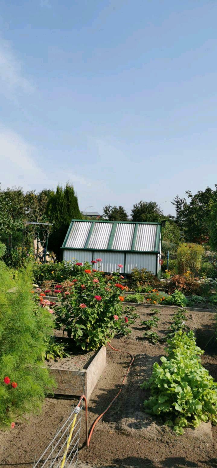 Garten Picture Of Zum Scheel Stralsund Tripadvisor