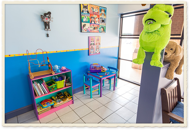 Mapleshade animal hospital tour