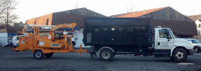 American Tree Service Llc Cumming Ga 678 571 0316