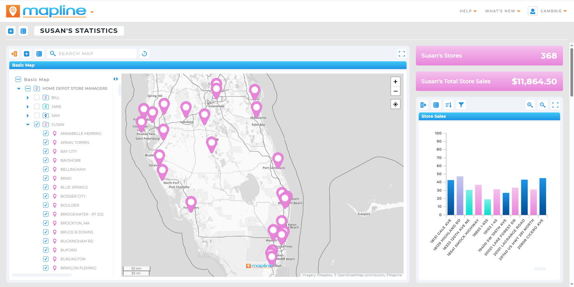 Territory Mapping Software Auto Generate Smart Territories Real Time And Reporting 