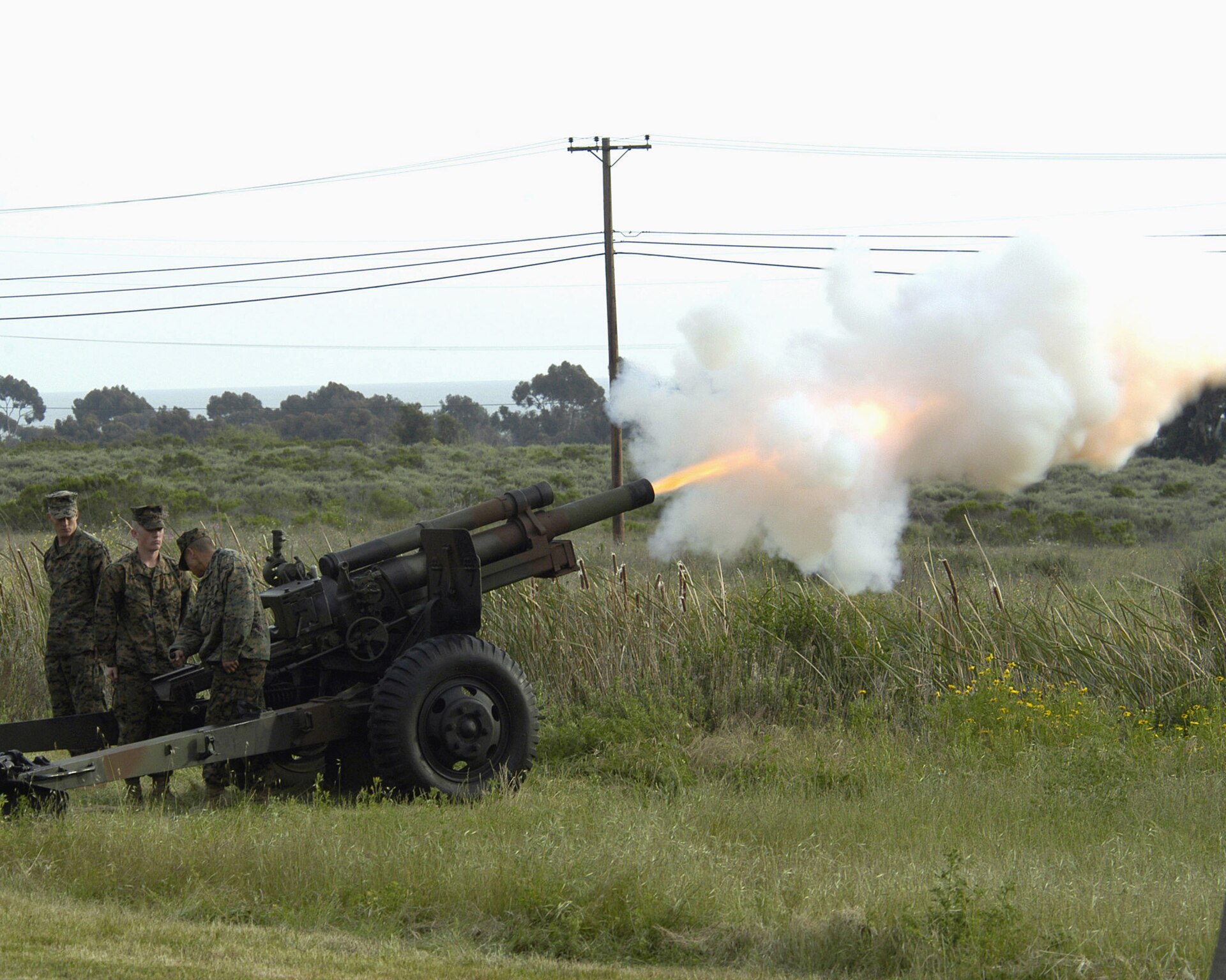 Reference photograph of an M101A1 105 mm howitzer