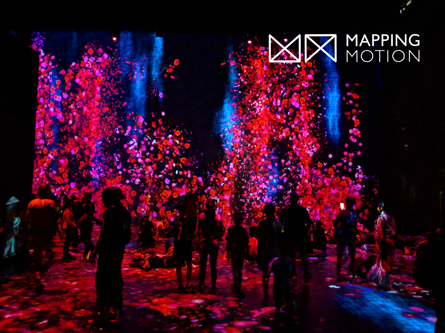 Exposition teamLab : Au-delà des limites - Mapping Motion
