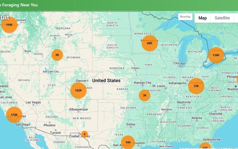 Global Mushroom Foraging Map February 11 2026 Fruit Map 800x500 