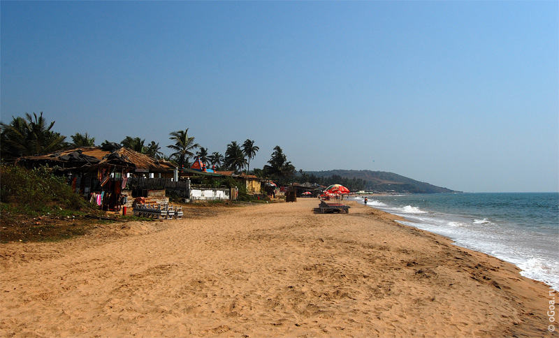 Contact Anjuna - Incredible City Art - 4K