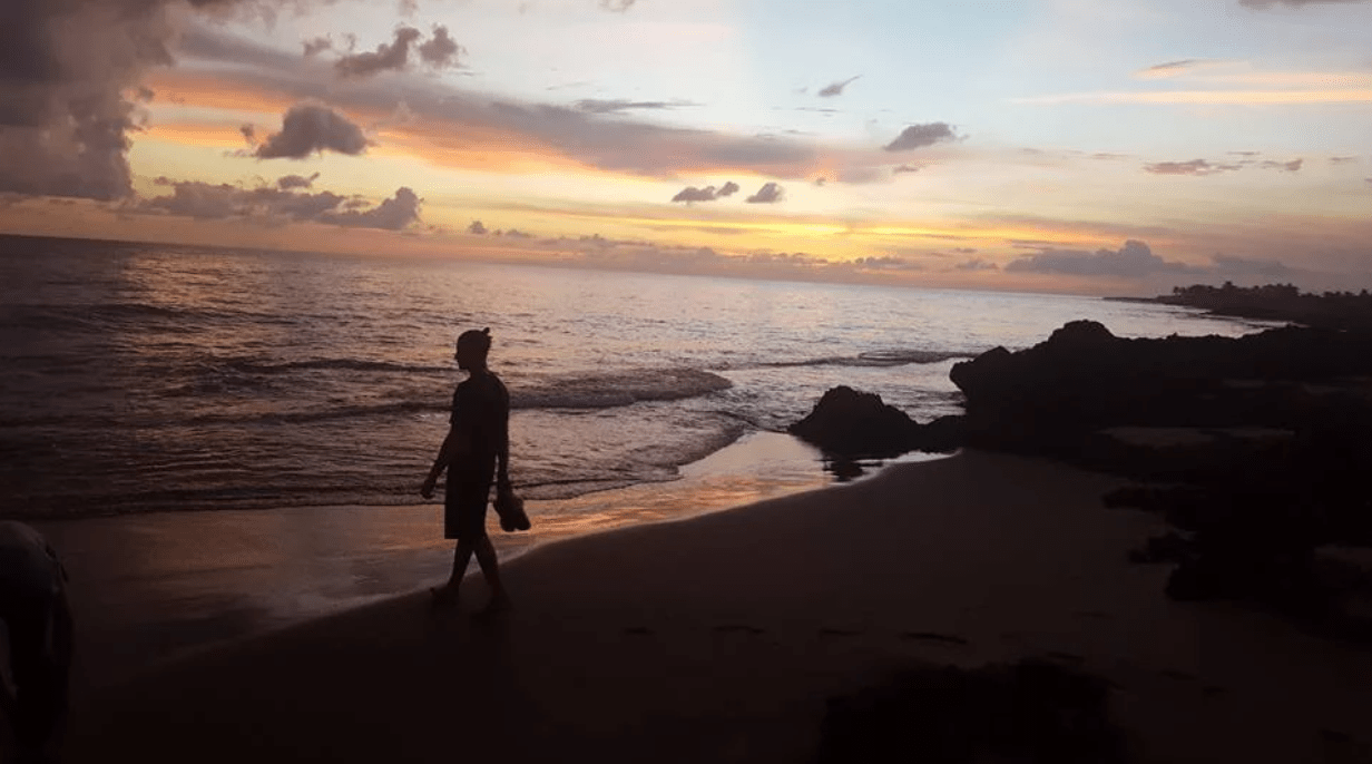 Magic Mushroom Retreats in Jamaica Myco Meditations Maps Of The Mind