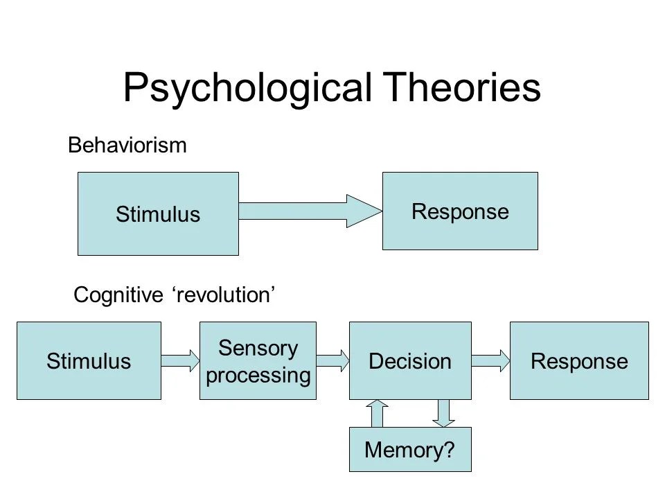 Psychological theories