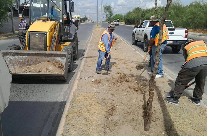 Fortalece Gobierno Municipal áreas verdes con plantación de 50 mezquites