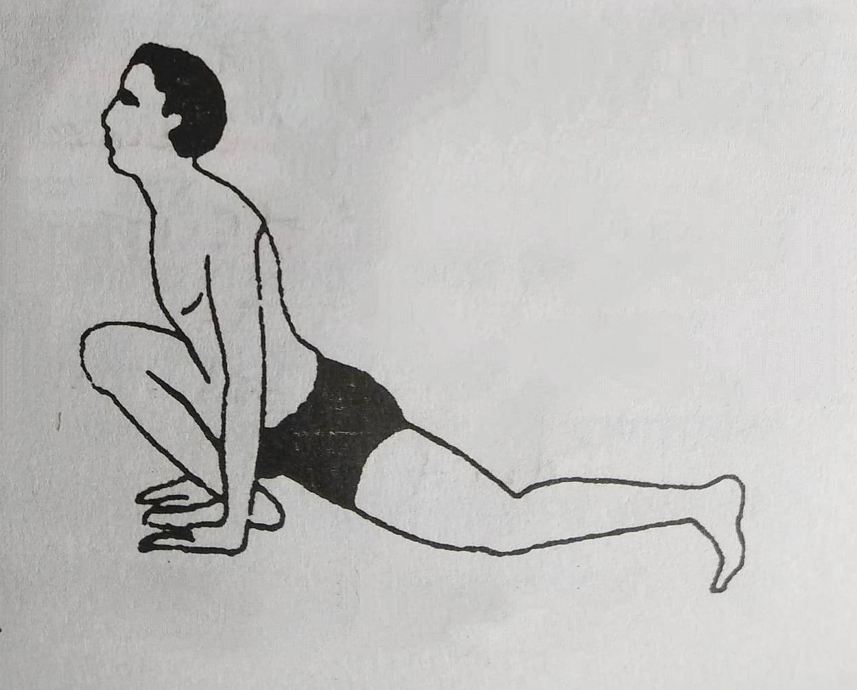 surya namaskar in marathi surya namaskar information in marathi surya namaskar steps in marathi