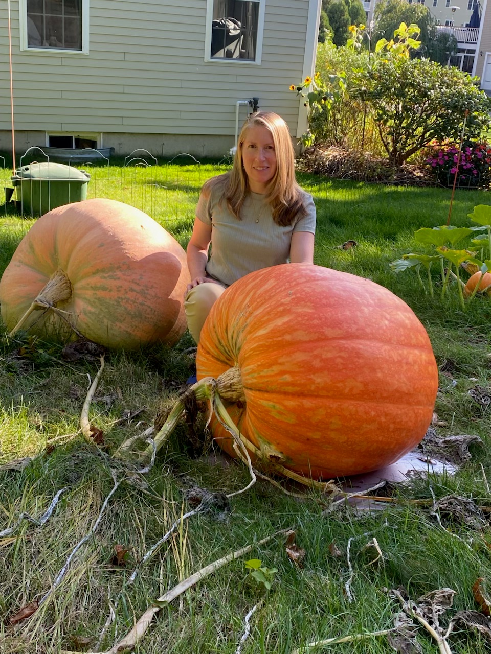 Tis the season: Locals grow giant pumpkins - Marblehead Current