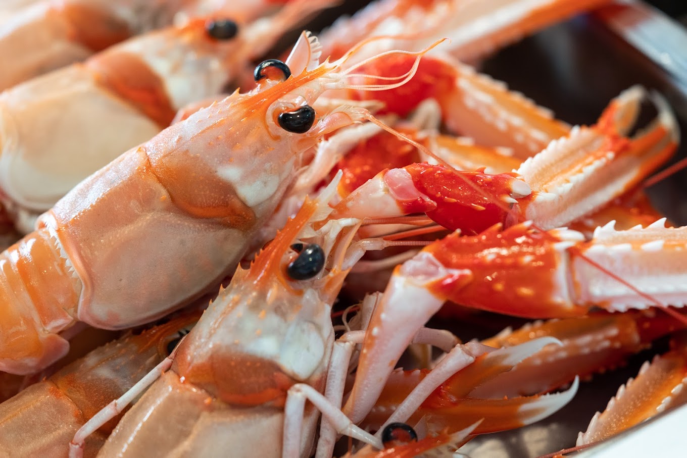 Marbslifesytle image slide