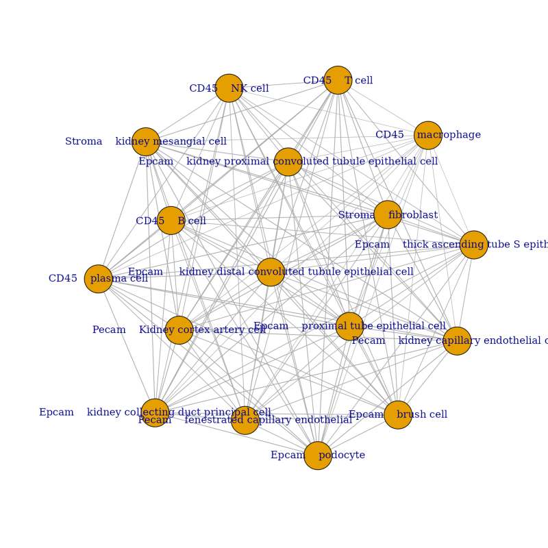 Spatial Transcriptomics Deconvolution With Spotlight Spotlight - Premium Ocean Art - High Resolution