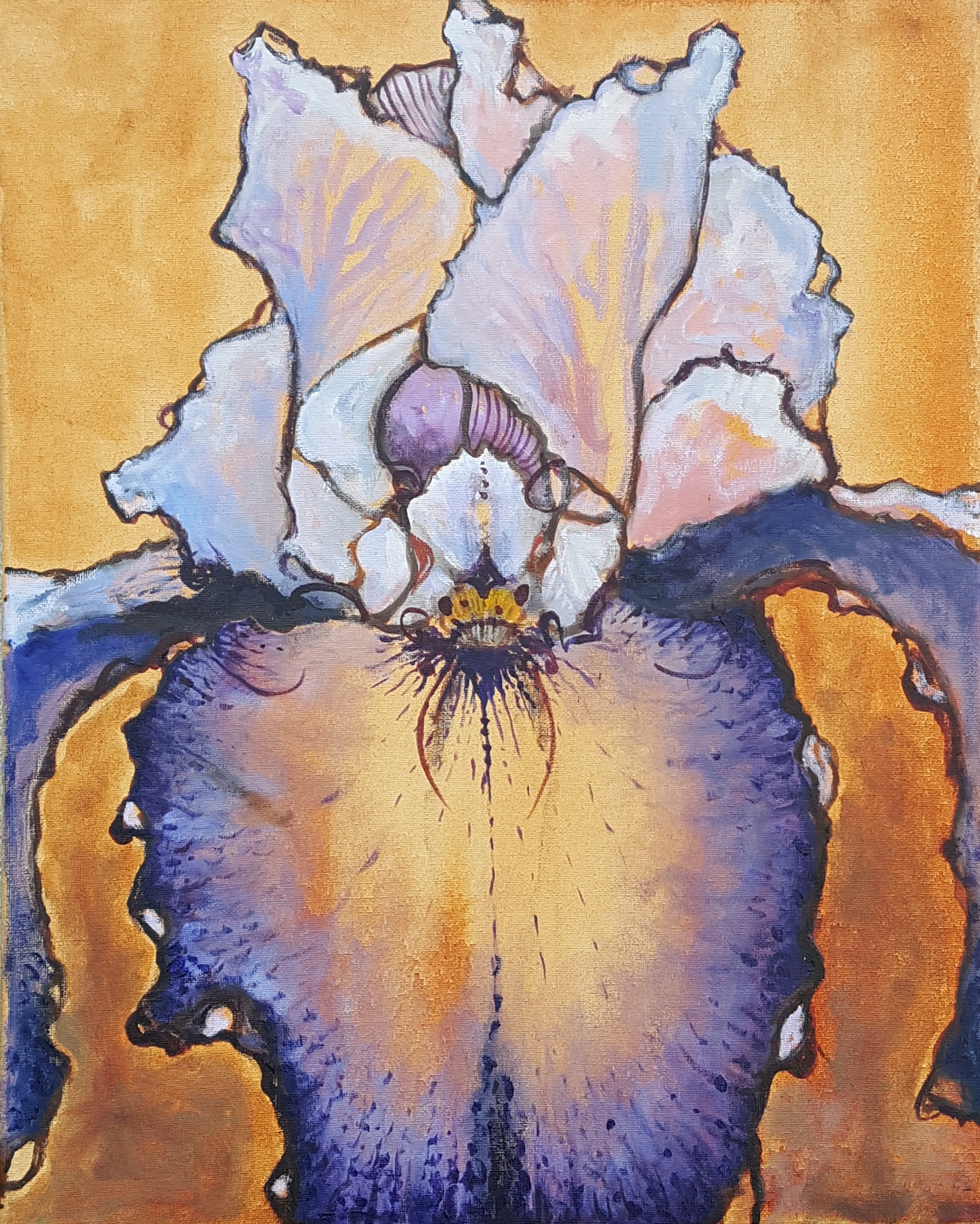 Iris VI 2017
