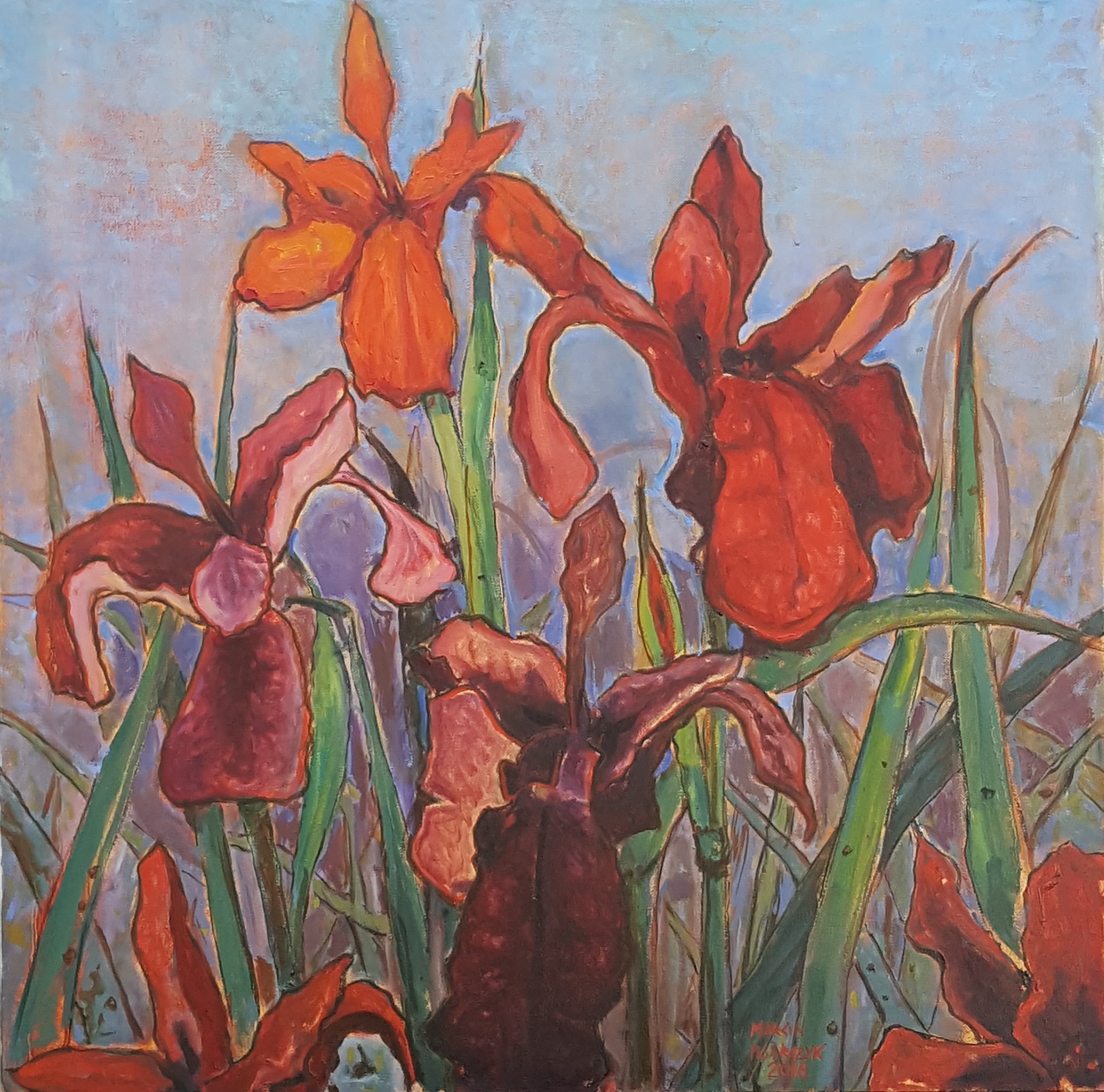 Red Irises 2016