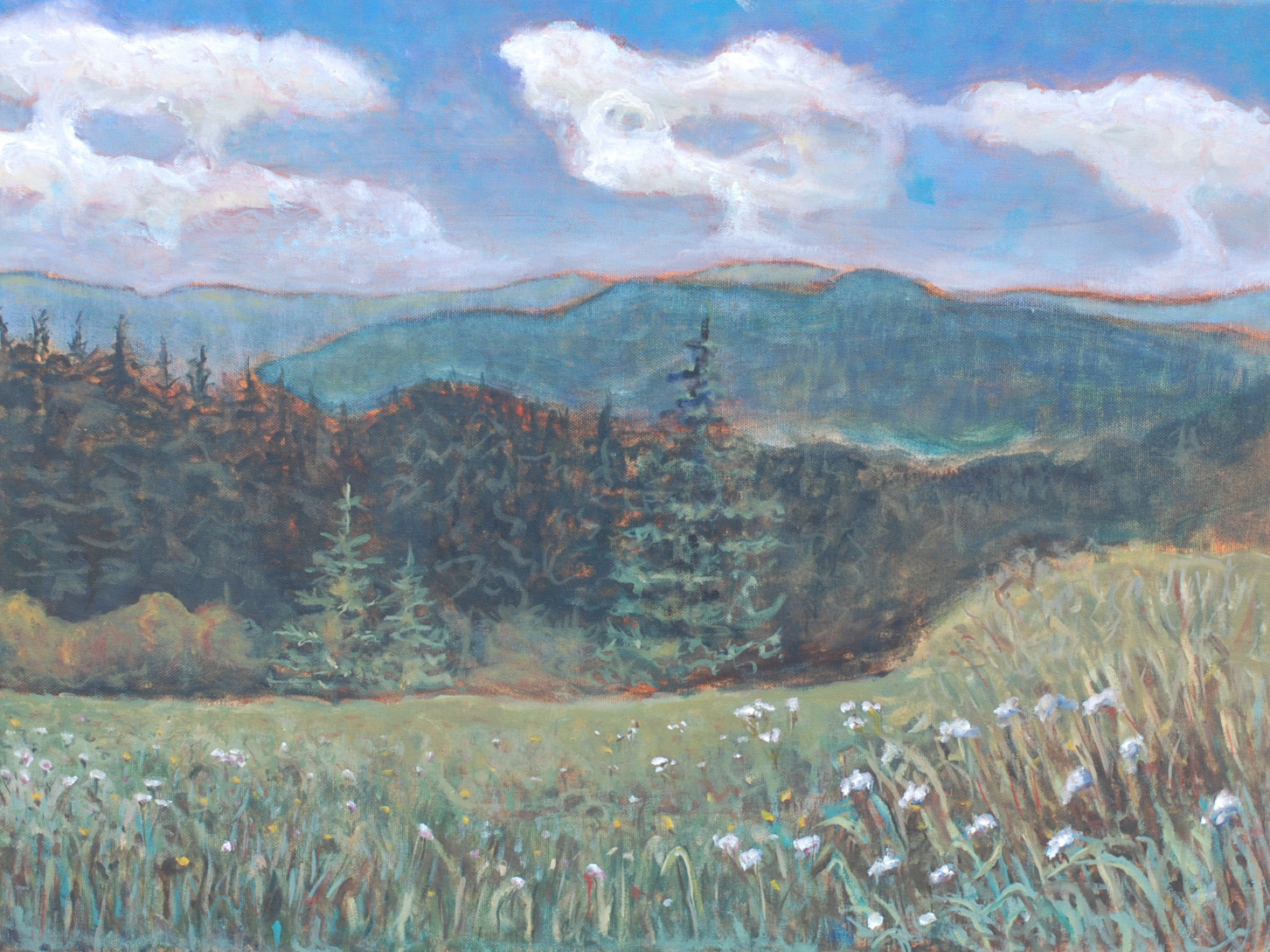 Gorce Mountains 2010