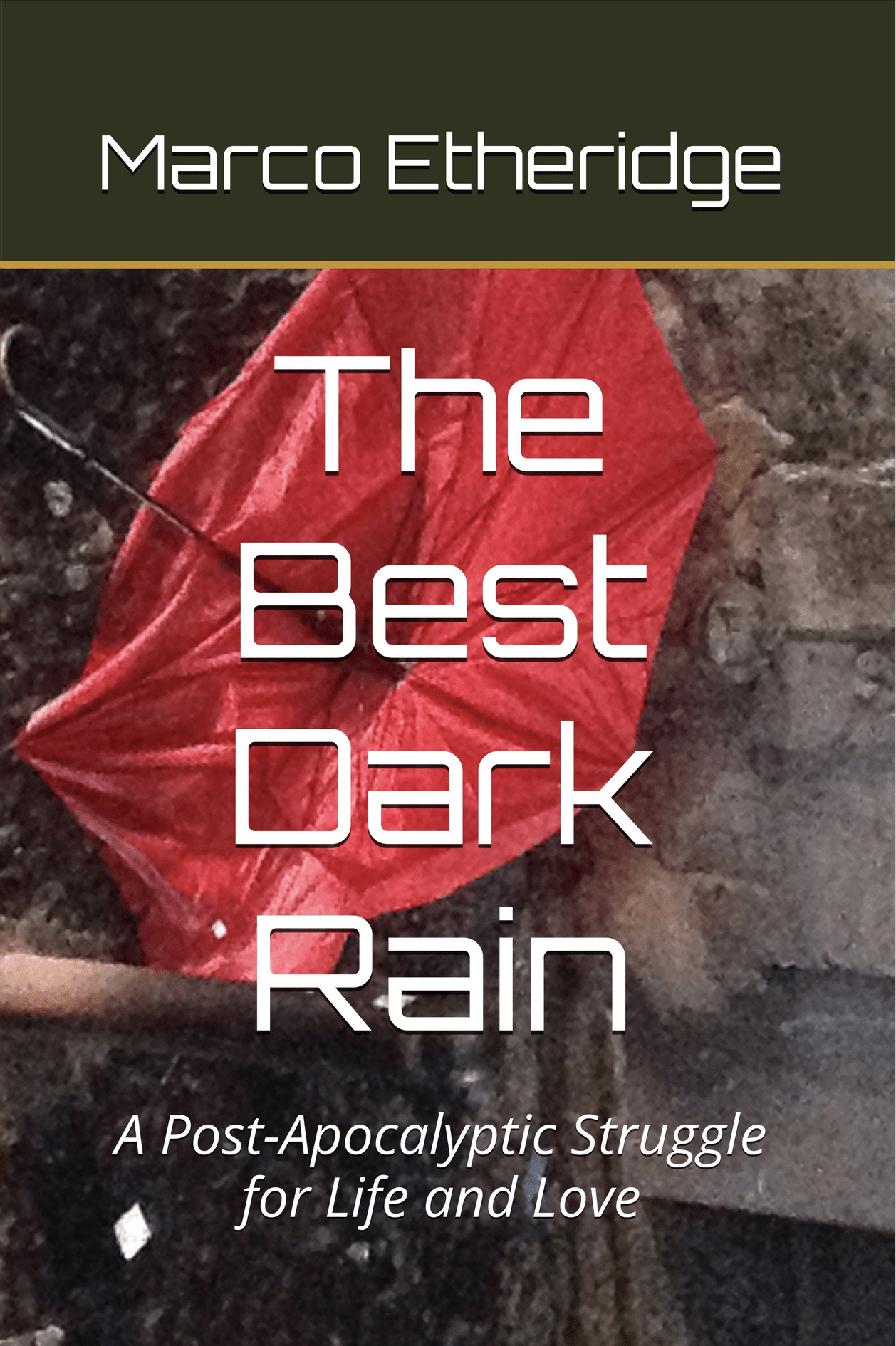 The Best Dark Rain: A Post-Apocalyptic Struggle for Life and Love