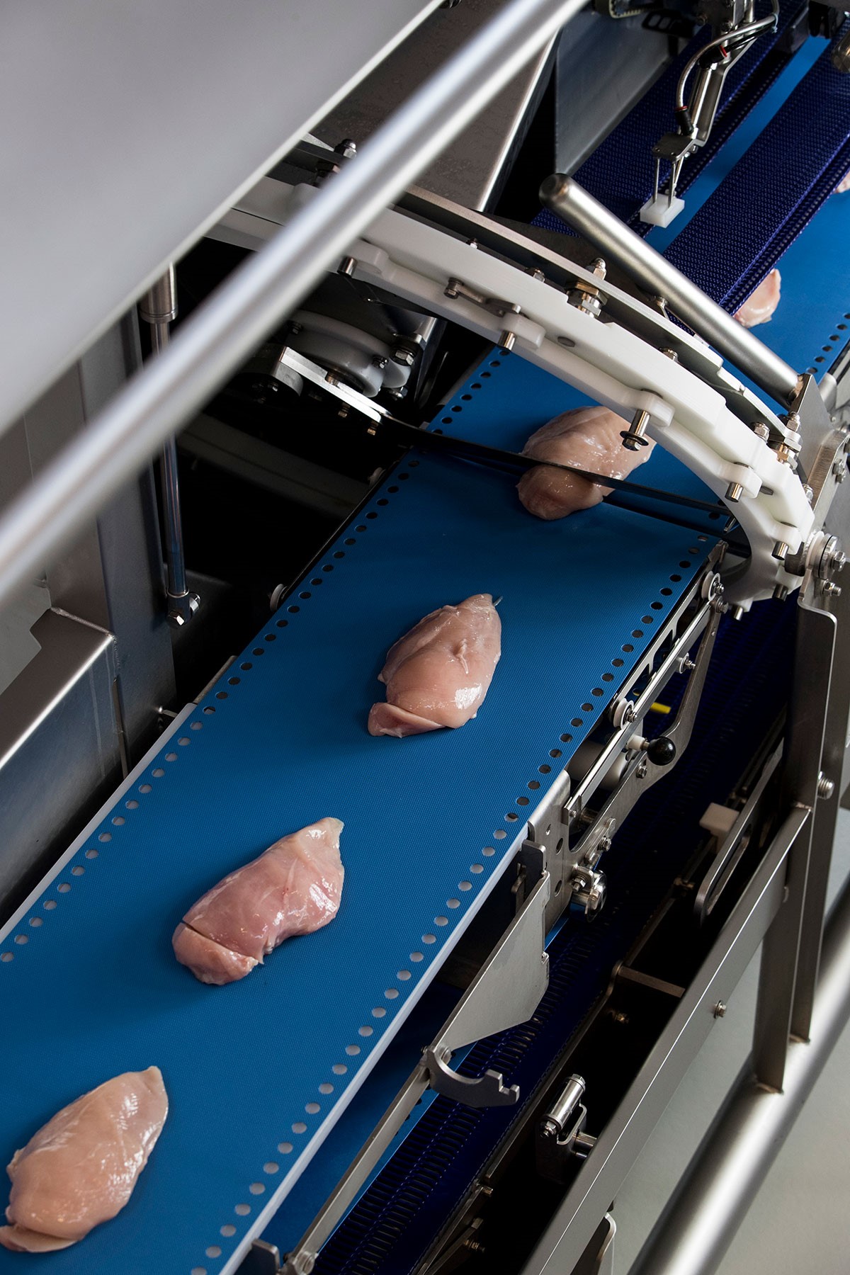 Portion Cutting In Seafood Processing Marel - Best Mountain Patterns in 8K