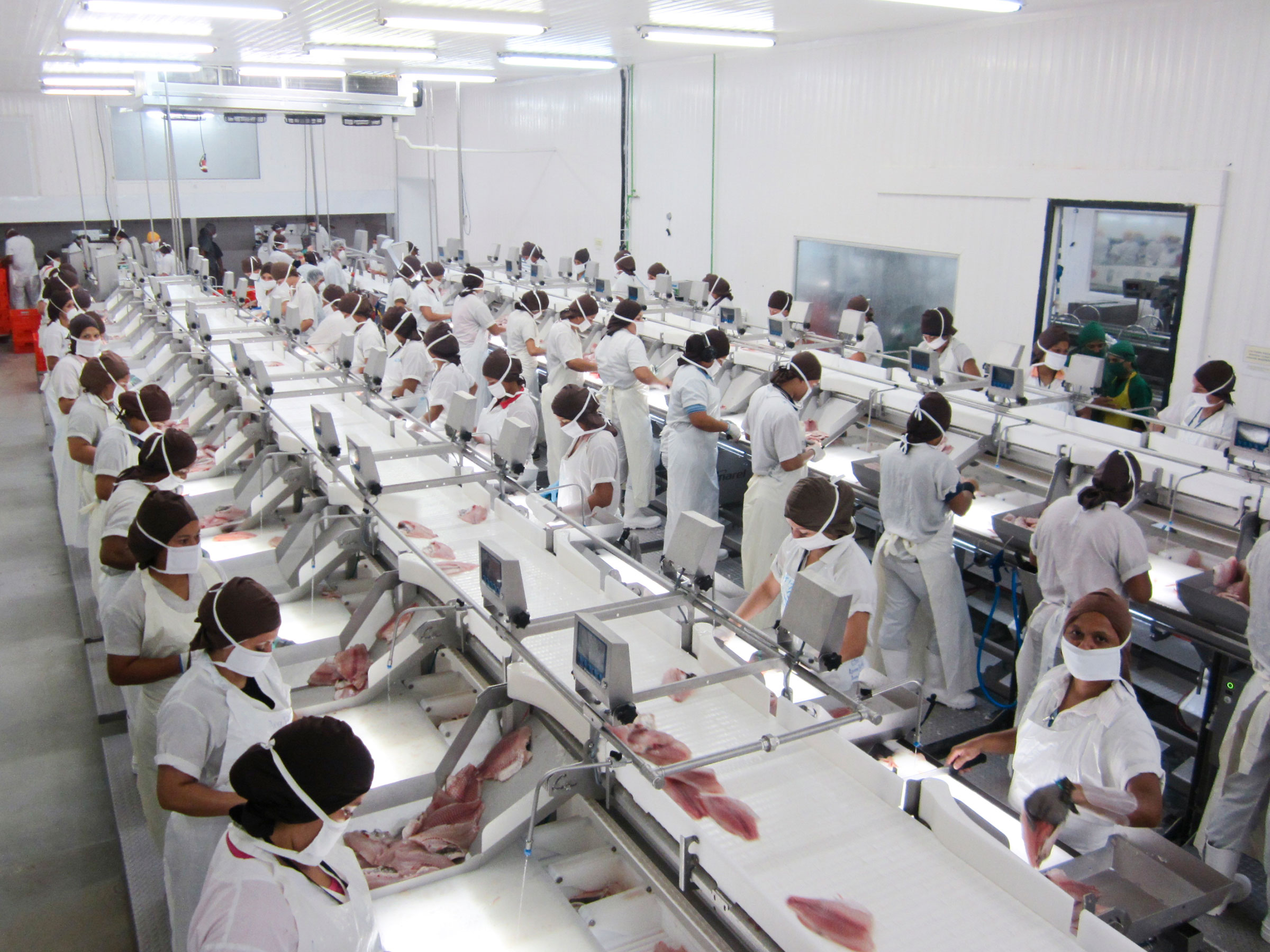 Automation In Primary Processing Marel - Retina Mountain Images for Desktop