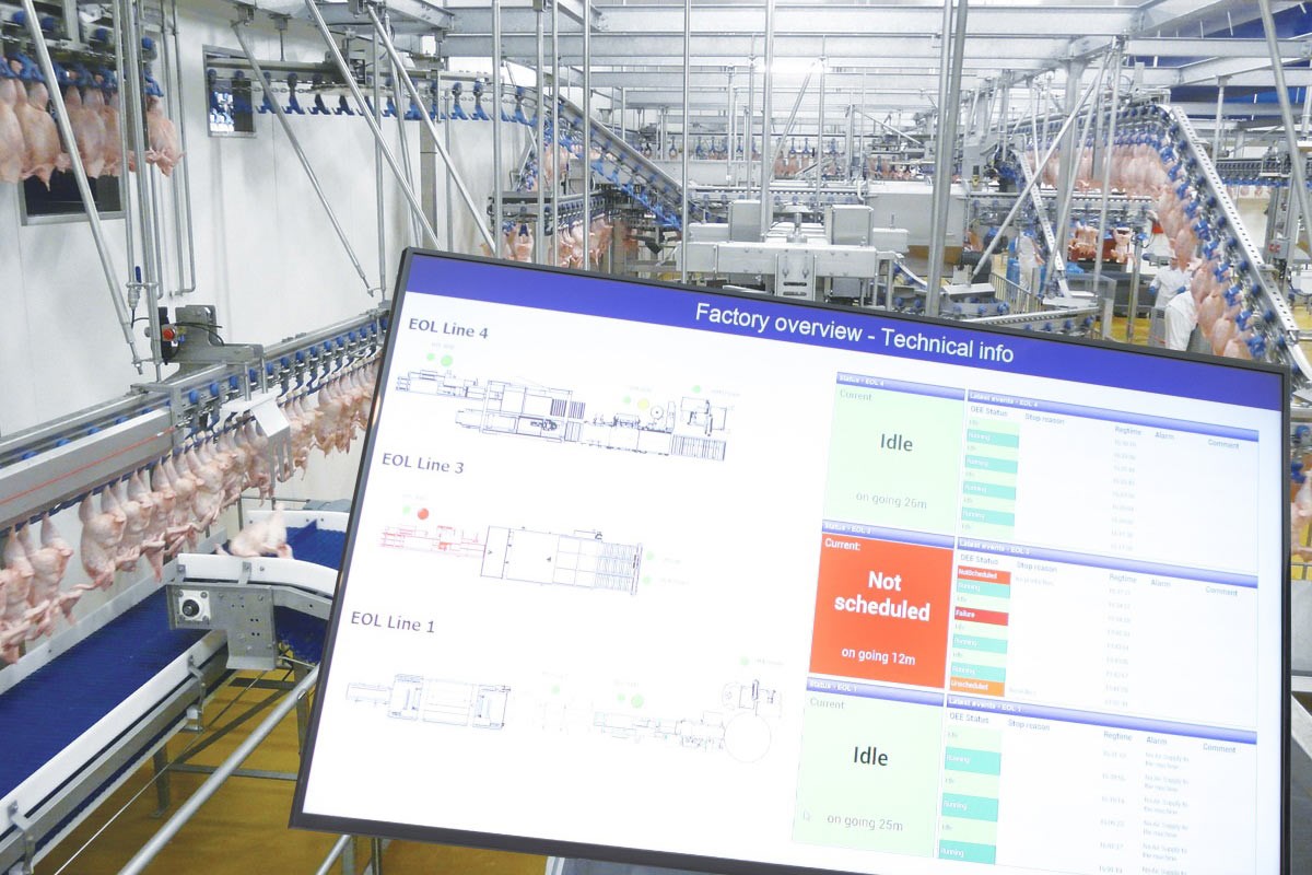 Marel Mws 4 Control Automation - Download Elegant Mountain Image | 8K