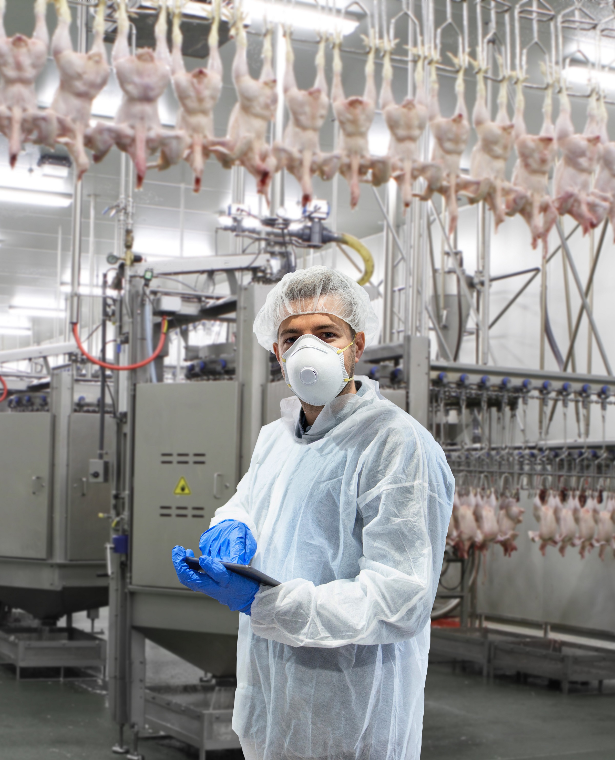 The Future Of Poultry Processing - Download Ultra HD Landscape Picture | Full HD