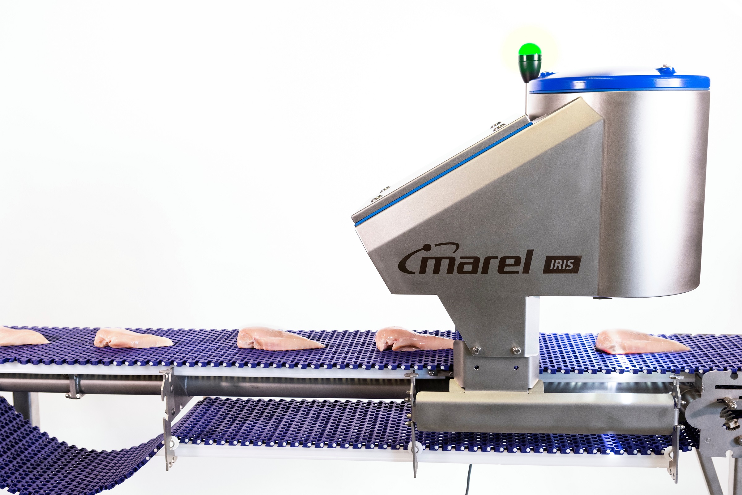 Iris Fp Marel - Colorful Image Collection - HD Quality